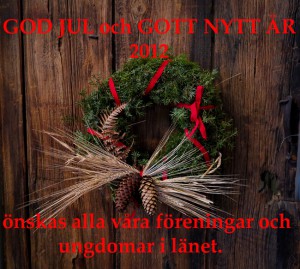 God Jul 2012